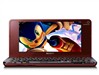 SONY VGN-P35J/R上网本