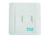 D-Link 双口墙上型面板综合布线设备
