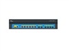 锐捷网络 RG-Wall V160EVPN及SSL VPN