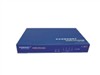 迅博 NG300VPN及SSL VPN
