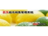 美萍 超市管理系统单机版财务行业管理ERP