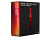 Adobe CS4 Design Premium for Windows(英文)图像软件