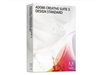 Adobe CS3 Design Standard Windows平台(中文标准版)图像软件