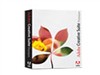 Adobe Creative Suites Prem(中文版)图像软件