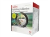 Adobe Publishing Collection(中文版)排版软件