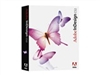 Adobe InDesign CS2(中文)排版软件