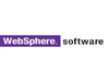 IBM WebSphere MQ 1CPU V6.0数据库及中间件