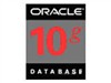ORACLE Oracle 10g(标准版 1CPU)数据库及中间件