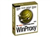 WinProxy 6.1(250用户)邮件服务器软件