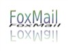 Foxmail Server 标准版(250用户)邮件服务器软件