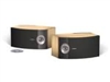 BOSE 301音频及会议系统