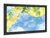 NEC PlasmaSync 50XP10等离子