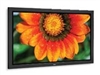 NEC PlasmaSync 60XP10等离子