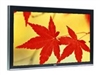 NEC PlasmaSync 50XR6等离子