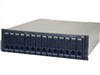 IBM TotalStorage DS4100磁盘阵列