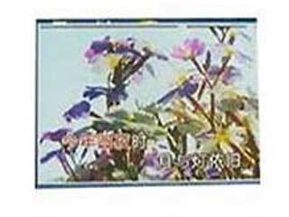 奥彩 室内全彩 P6 27700点