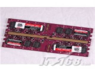 金泰克 速虎1GB（PC2-6400/DDR2 800）