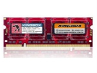 黑金刚 1GB（PC2-5300/DDR2 667/200pin）