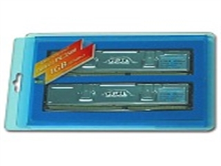 金邦 白金双通道1GB（PC-3200/DDR400）