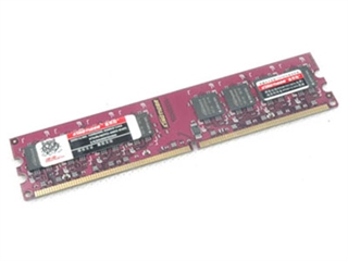 金泰克 1GB DDR2 800(磐虎)