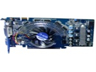 影驰 9600GT虎将(1GB)