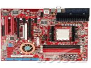 升技 Fatal1ty AN8-SLi