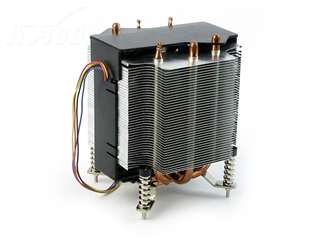 AVC 拿破仑