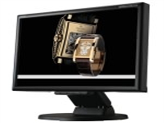 NEC MS LCD175VX