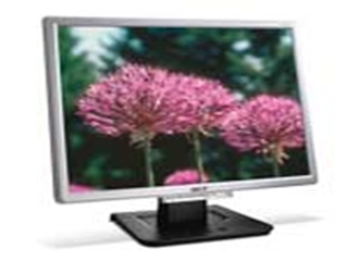 Acer AL1916 As