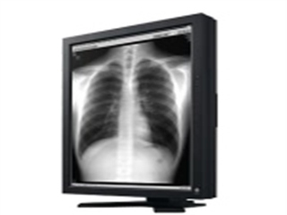 EIZO RadiForce G31