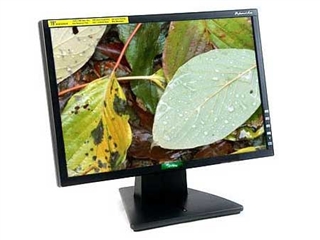 TopView T198W