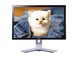 DELL 2408WFP
