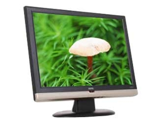 BenQ VP1902