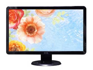 DELL S2409W