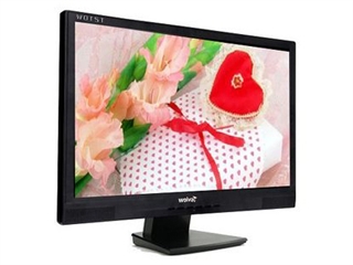 TopView T210W