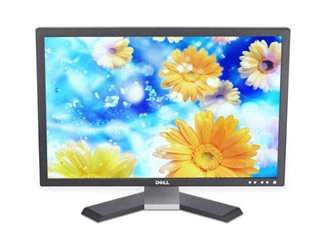 DELL E248WFP