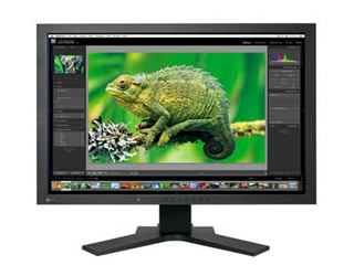 EIZO ColorEdge CG241W
