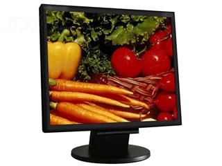 NEC LCD195VX+