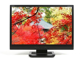 NEC LCD220WX