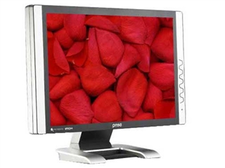 BenQ FP94VW