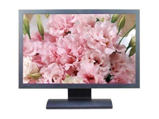 BenQ FP222W