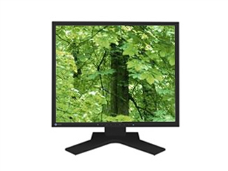 EIZO FlexScan S1701