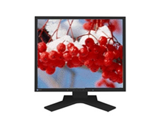 EIZO FlexScan S1721