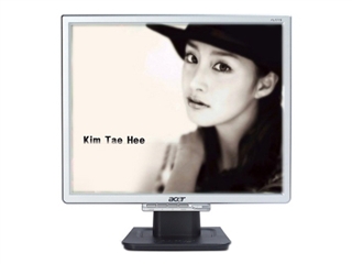 Acer AL1716bsd