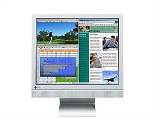 EIZO FlexScan L665