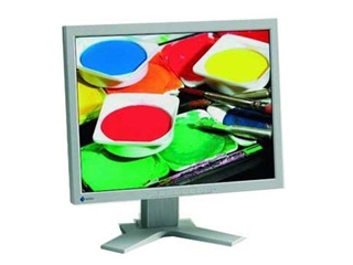 EIZO FlexScan L985EX