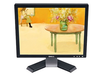 DELL E196FP