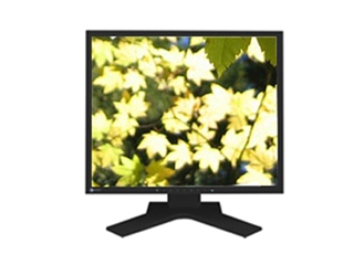 EIZO FlexScan S1911