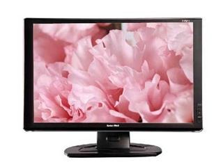 Great Wall Z221