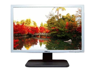DELL SE 198WFP